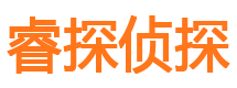 叶城外遇调查取证